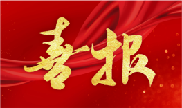 喜報-北京飛斯科獲評國家級專精特新“小巨人”企業(yè)